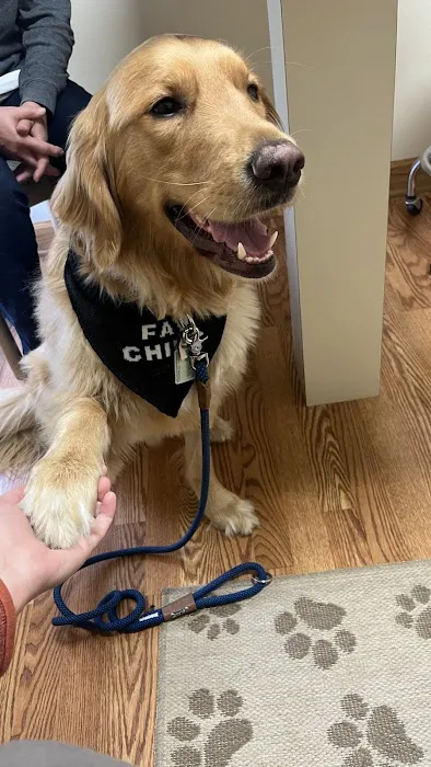 Animal Cancer & Imaging Center 5