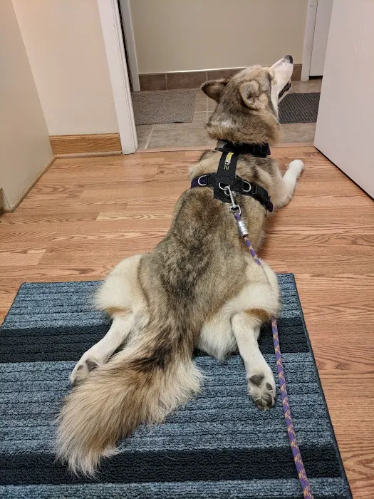 Animal Cancer & Imaging Center 8