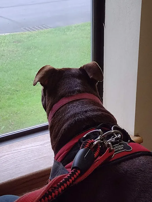 Animal Cancer & Imaging Center 10