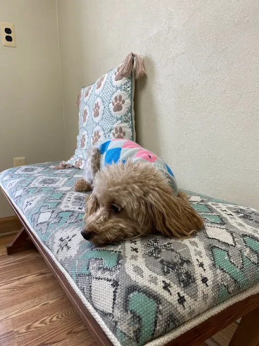 Animal Cancer & Imaging Center 3