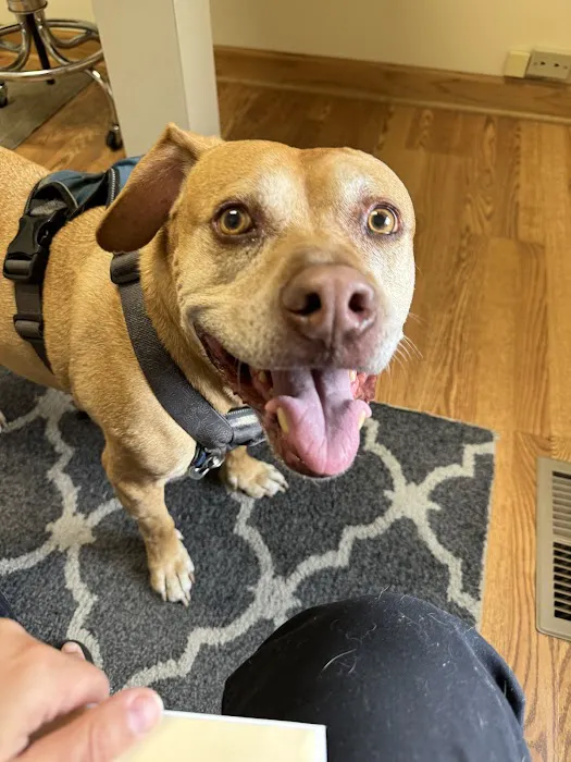 Animal Cancer & Imaging Center 2