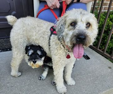 Sheldon Veterinary Hospital
