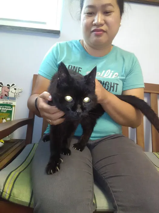 Sheldon Veterinary Hospital 12