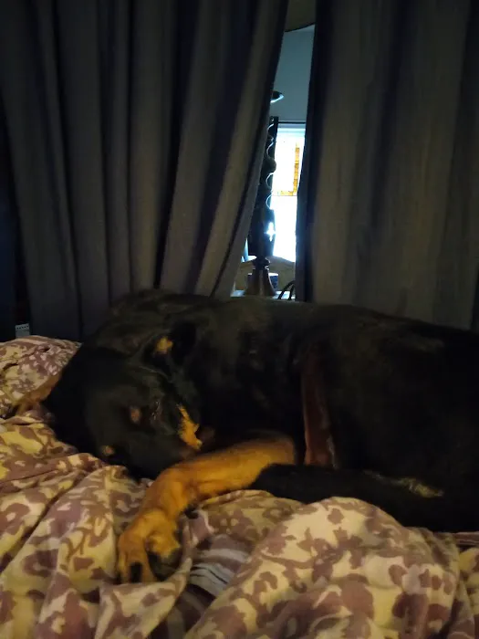Sheldon Veterinary Hospital 12