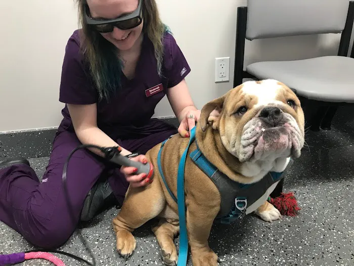 Plymouth Veterinary Hospital 10