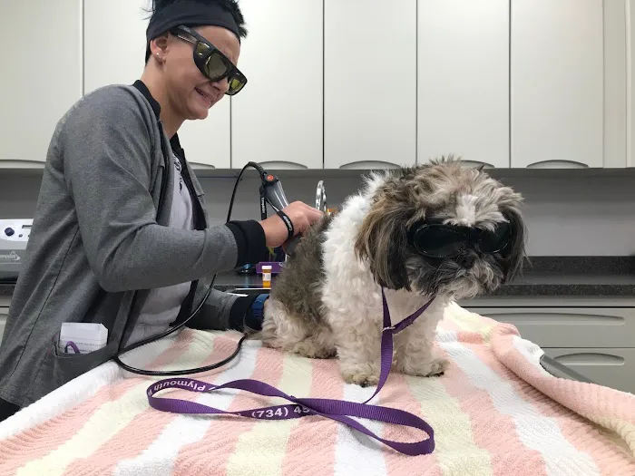 Plymouth Veterinary Hospital 5