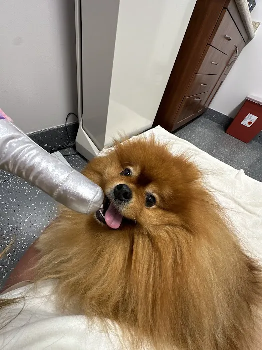 Plymouth Veterinary Hospital 3