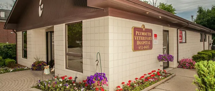 Plymouth Veterinary Hospital 7