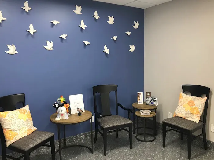 Plymouth Veterinary Hospital 1