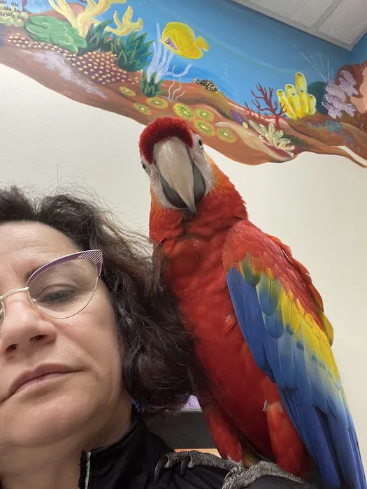 Roose Animal Hospital: Knight Karen L DVM 12