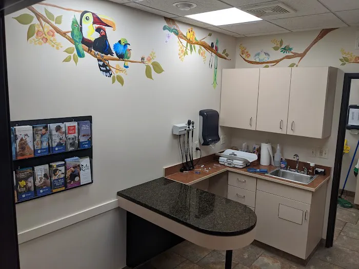 Roose Animal Hospital: Knight Karen L DVM 12