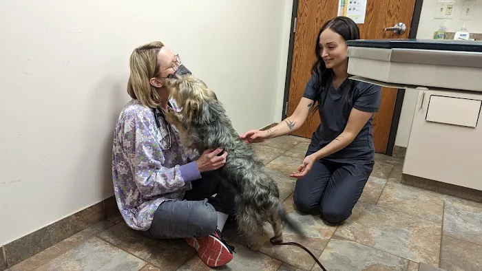 Roose Animal Hospital: Knight Karen L DVM 12