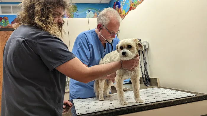 Roose Animal Hospital: Knight Karen L DVM 12