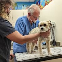 Roose Animal Hospital: Knight Karen L DVM ico