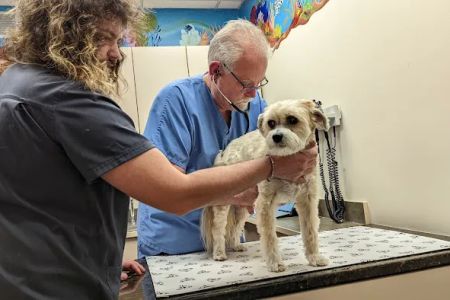 Roose Animal Hospital: Knight Karen L DVM