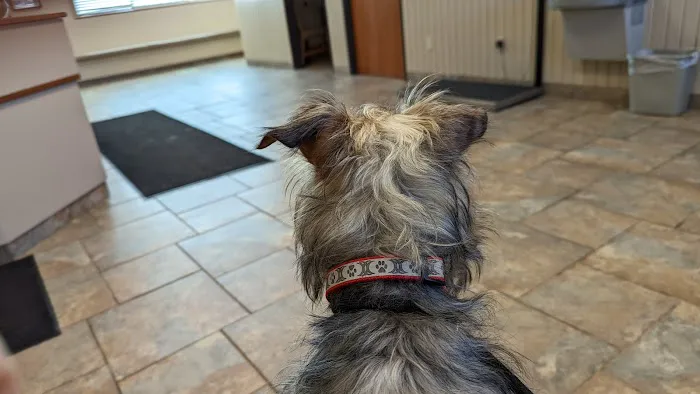Roose Animal Hospital: Knight Karen L DVM 12