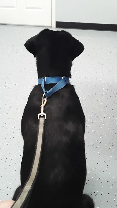 St James Veterinary Medical Center 1