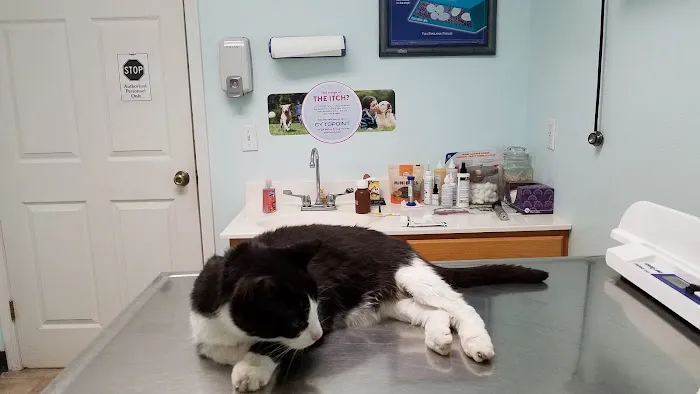 Rolla Animal Hospital 10
