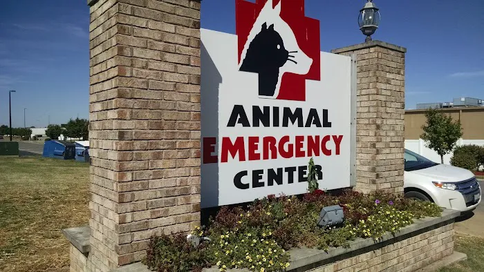Animal Emergency Center 7