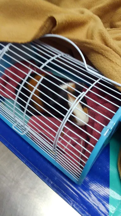 Northgate Small Animal Hospital: Edgar Amy DVM 2