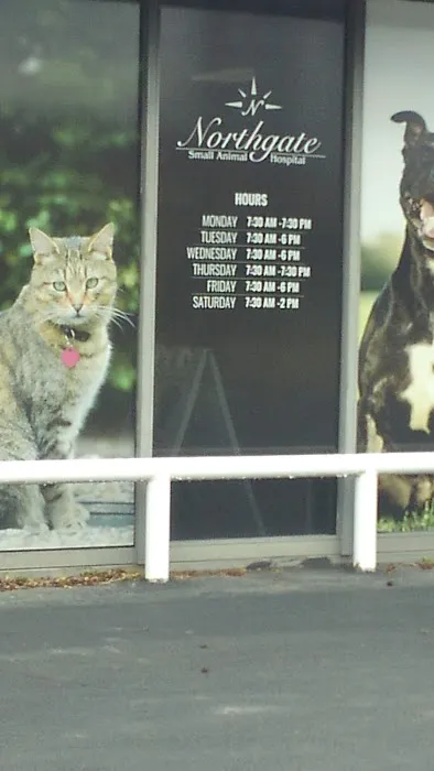 Northgate Small Animal Hospital: Edgar Amy DVM 1