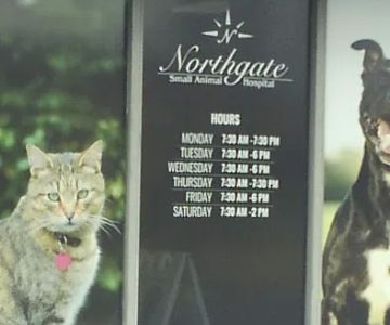 Northgate Small Animal Hospital: Edgar Amy DVM