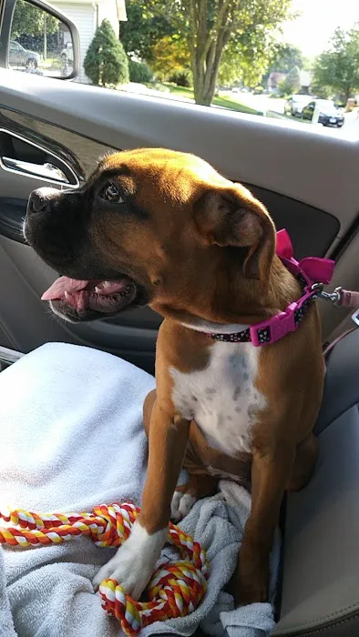 Northgate Small Animal Hospital: Edgar Amy DVM 3