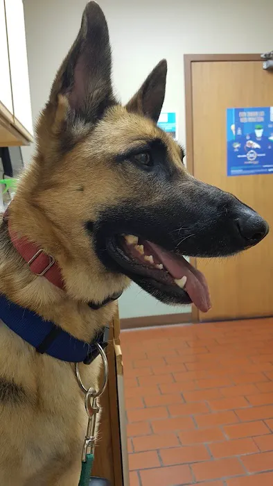 Northgate Small Animal Hospital: Edgar Amy DVM 4
