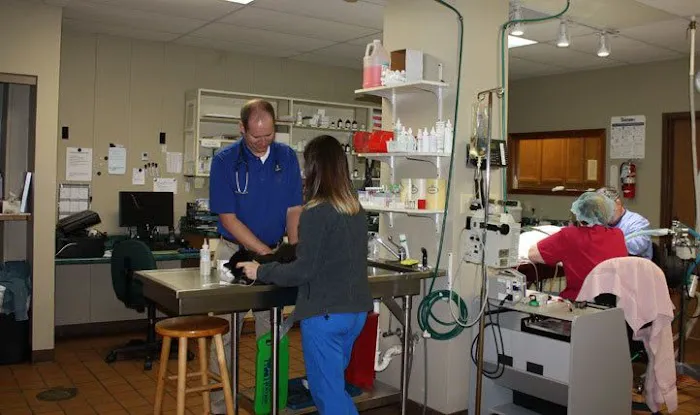 Northgate Small Animal Hospital 9