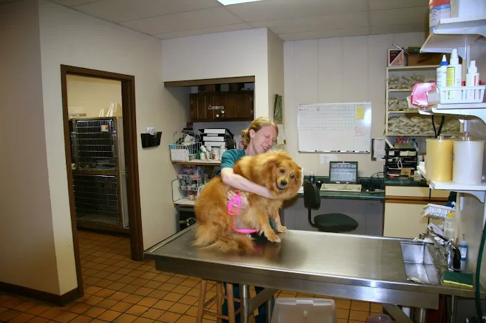 Northgate Small Animal Hospital 7