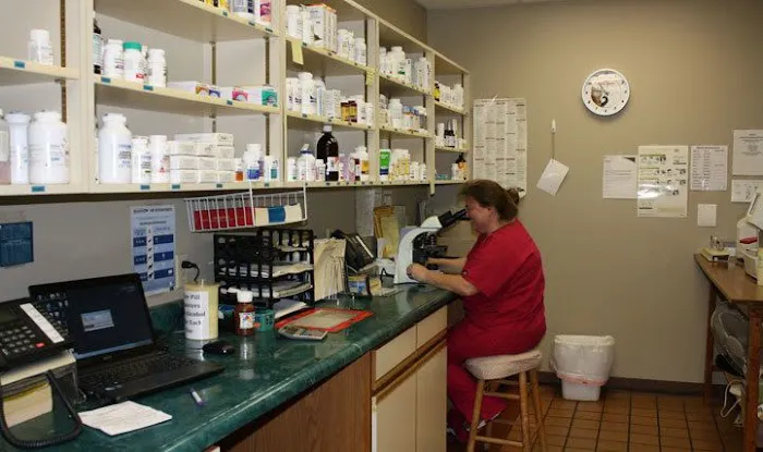 Northgate Small Animal Hospital 10