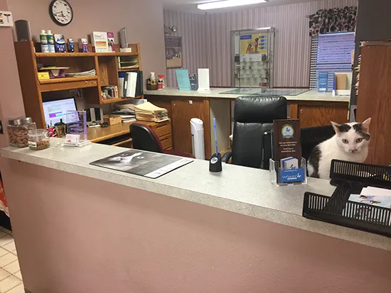 Hillside Pet Clinic 5