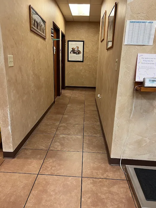 Horseshoe Lake Animal Hospital, A Thrive Pet Healthcare Partner 5