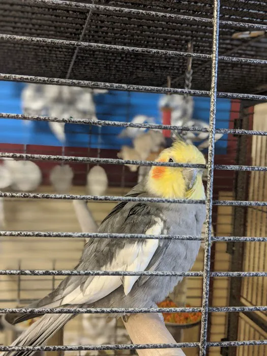 Animal Care Hospital 8