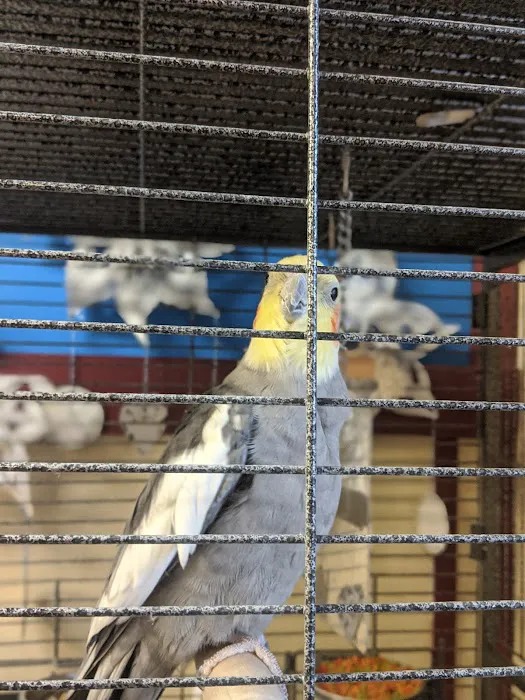 Animal Care Hospital 1