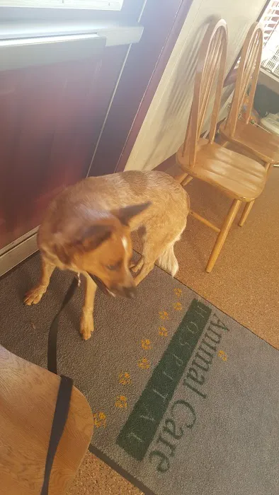 Animal Care Hospital 6