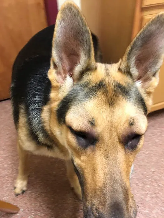 Animal Care Hospital 7