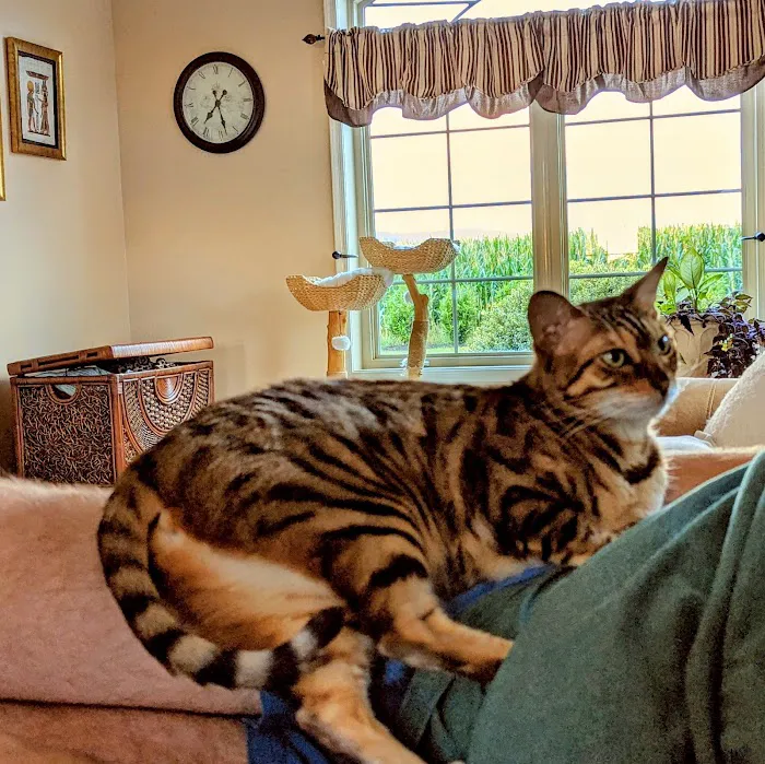 Paw Prints Veterinary Center 7