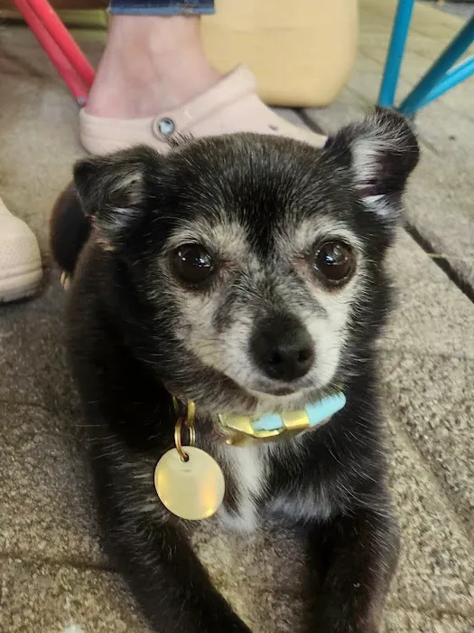 Paw Prints Veterinary Center 8