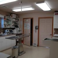 Millerstown Veterinary Associates PC ico
