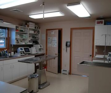 Millerstown Veterinary Associates PC
