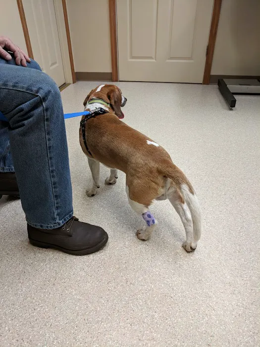 Millerstown Veterinary Associates PC 9
