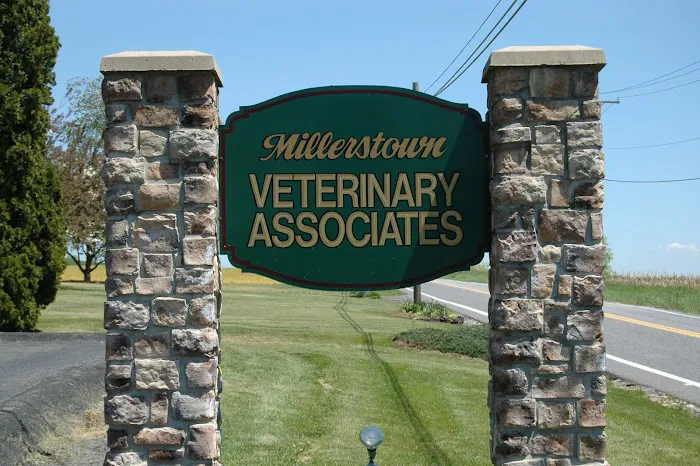 Millerstown Veterinary Associates PC 5