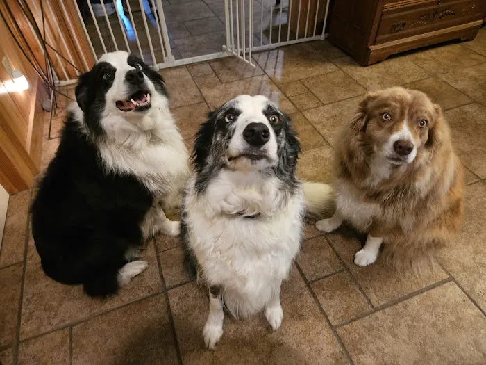 Berwick Veterinary Care Center 1