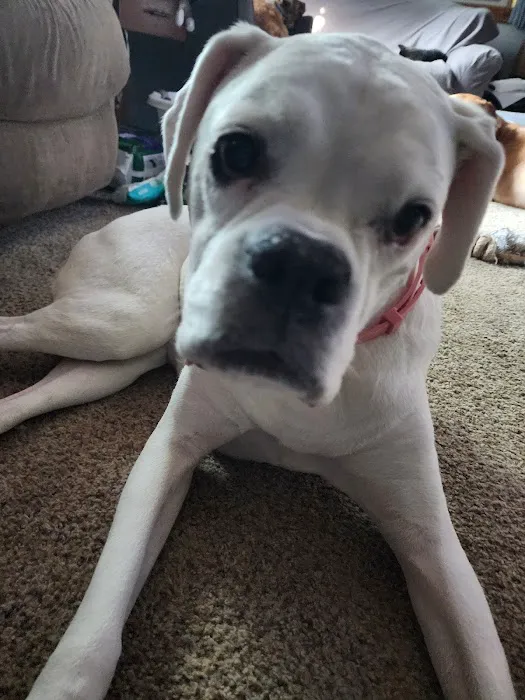 Berwick Veterinary Care Center 3