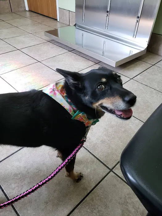 Berwick Veterinary Care Center 6