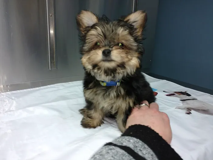 Berwick Veterinary Care Center 4