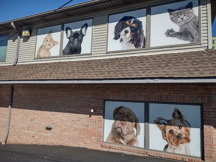 The Pet Care Clinic 8