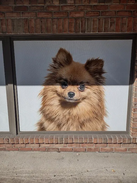 The Pet Care Clinic 9