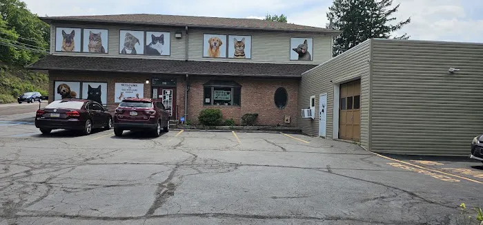 The Pet Care Clinic 2